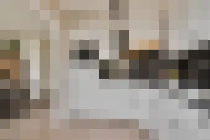 Touwslagersdreef 23 Tholen thumbnail 19