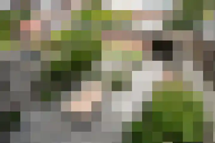 Touwslagersdreef 23 Tholen thumbnail 27