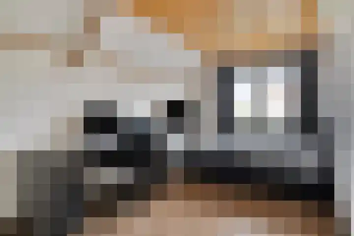 Touwslagersdreef 23 Tholen thumbnail 29