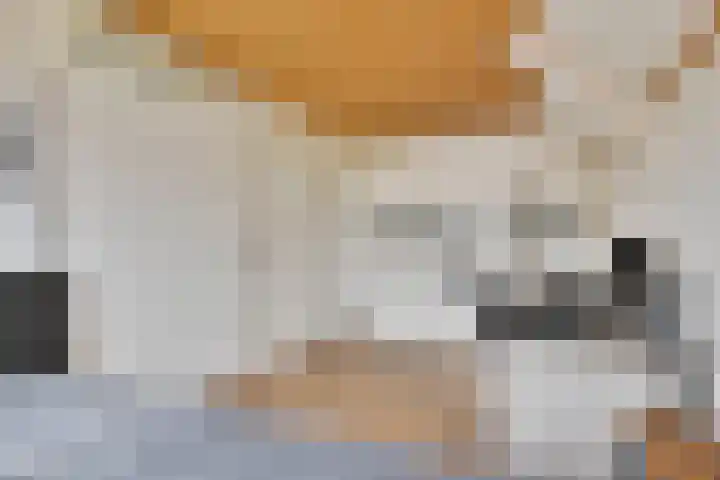Touwslagersdreef 23 Tholen thumbnail 30