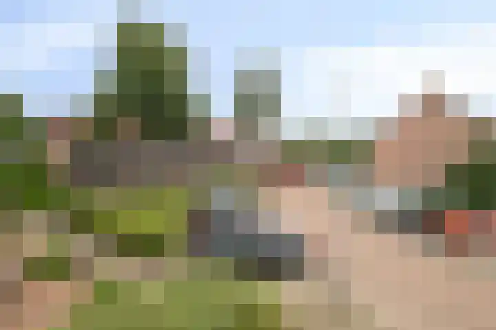 Touwslagersdreef 23 Tholen thumbnail 35