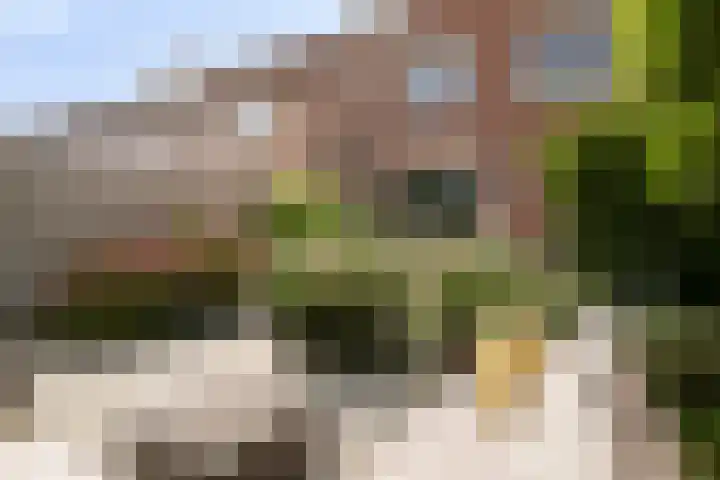 Touwslagersdreef 23 Tholen thumbnail 40