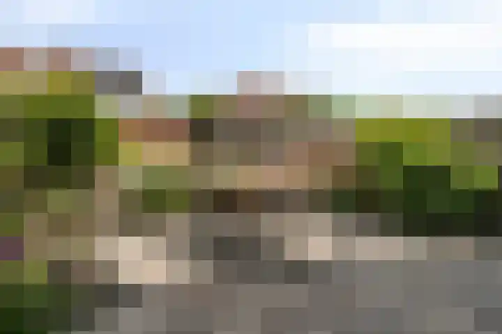 Touwslagersdreef 23 Tholen thumbnail 41