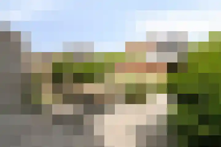 Touwslagersdreef 23 Tholen thumbnail 42