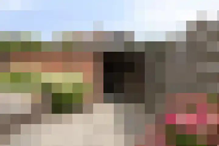 Touwslagersdreef 23 Tholen thumbnail 44