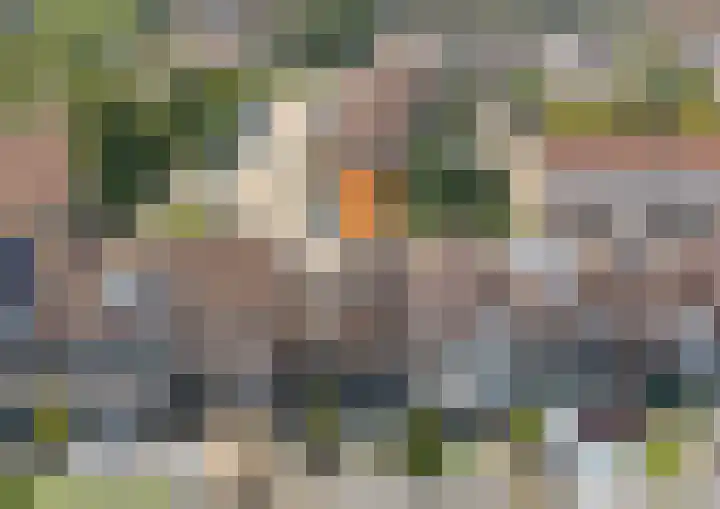 Touwslagersdreef 23 Tholen thumbnail 50