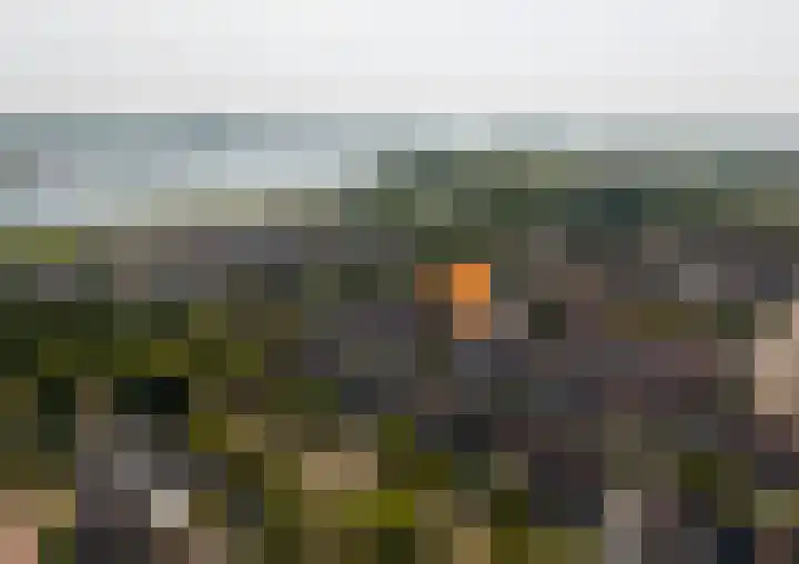 Touwslagersdreef 23 Tholen thumbnail 52