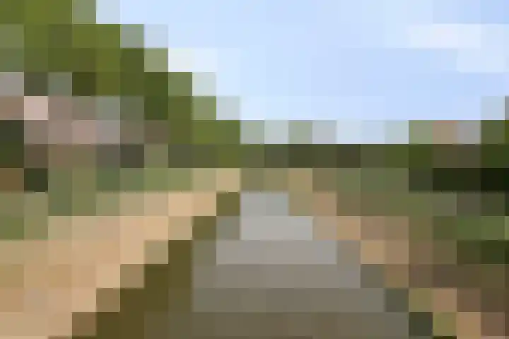 Touwslagersdreef 23 Tholen thumbnail 54