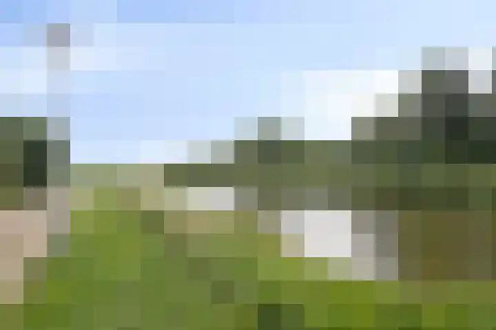 Touwslagersdreef 23 Tholen thumbnail 55
