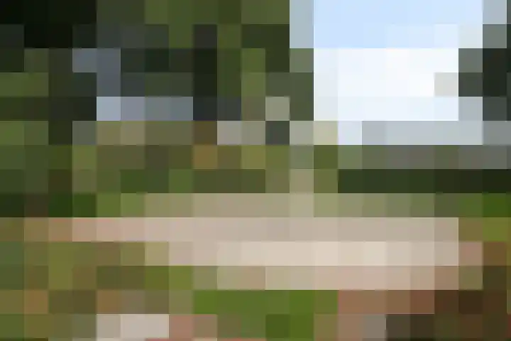 Touwslagersdreef 23 Tholen thumbnail 56