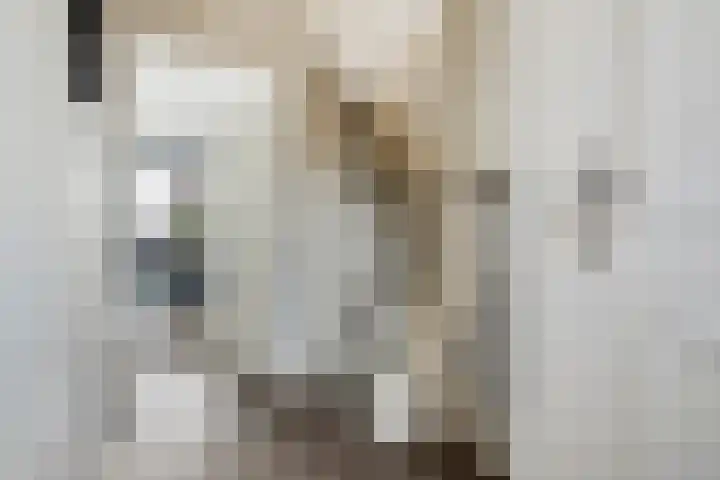 Touwslagersdreef 23 Tholen thumbnail 6