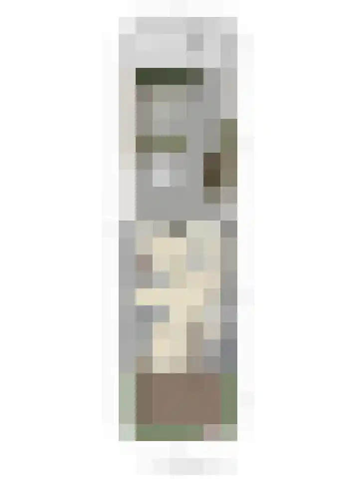 Touwslagersdreef 23 Tholen thumbnail 60