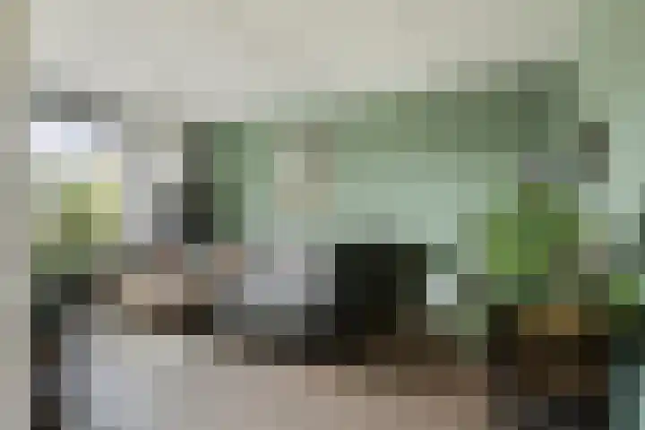 Touwslagersdreef 23 Tholen thumbnail 7