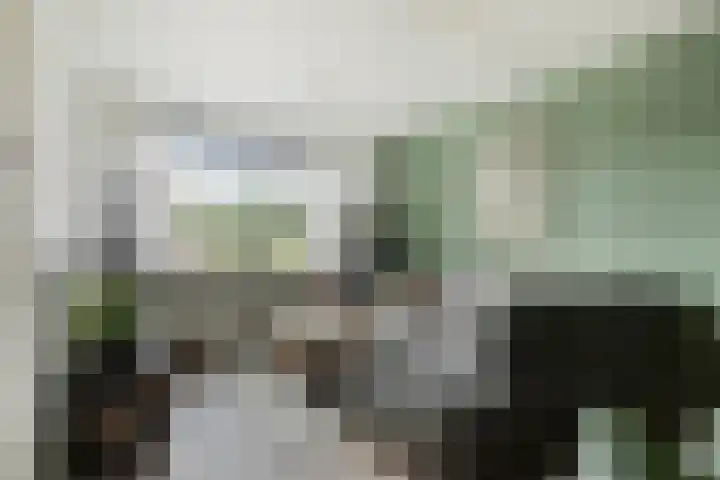 Touwslagersdreef 23 Tholen thumbnail 8
