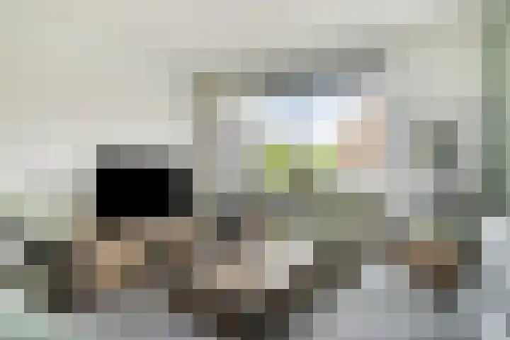 Touwslagersdreef 23 Tholen thumbnail 9