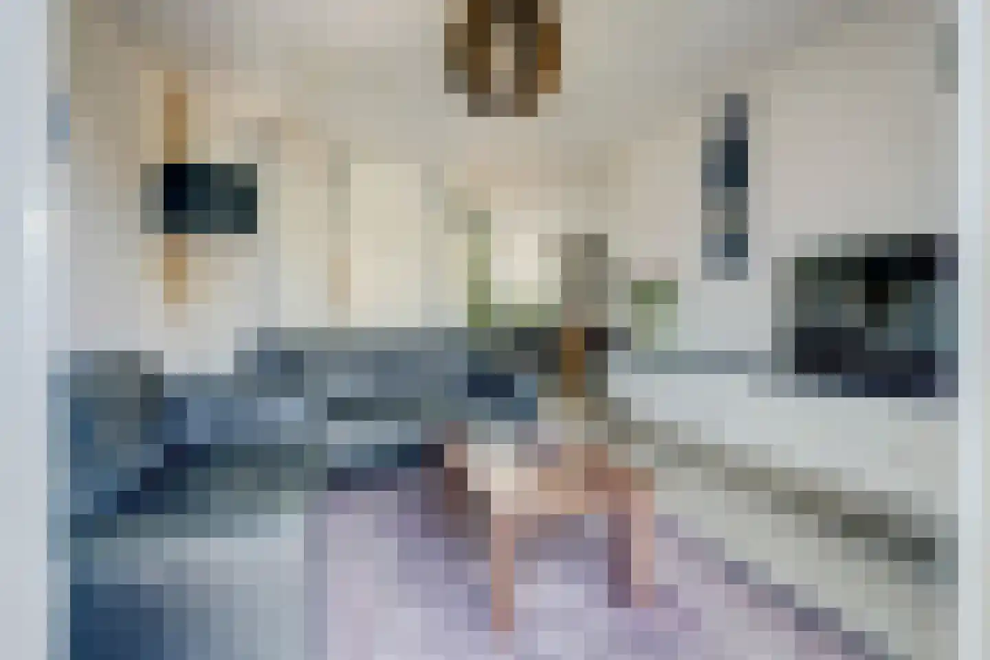 Touwslagersdreef 34 Tholen thumbnail 10