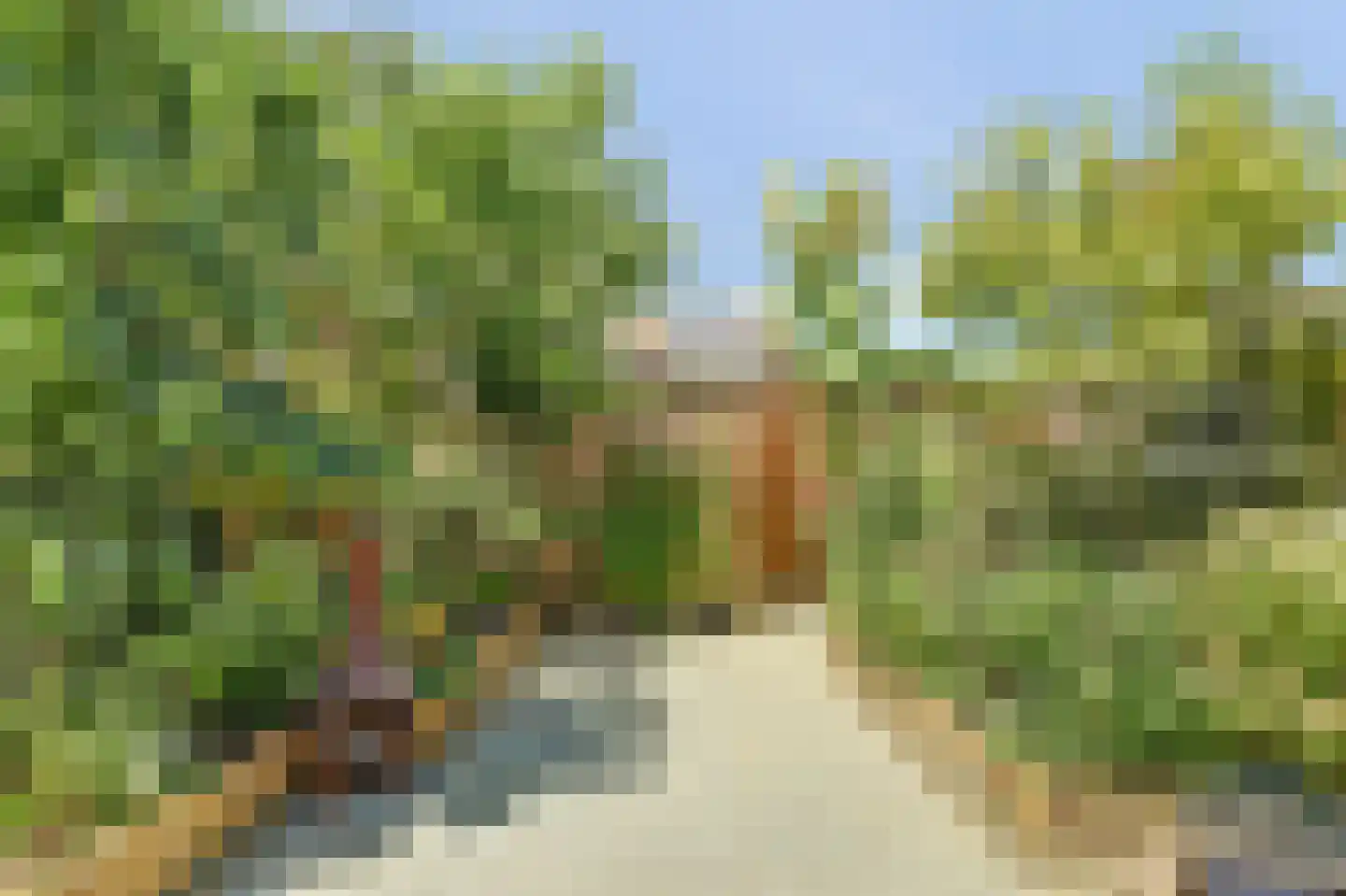 Touwslagersdreef 34 Tholen thumbnail 39