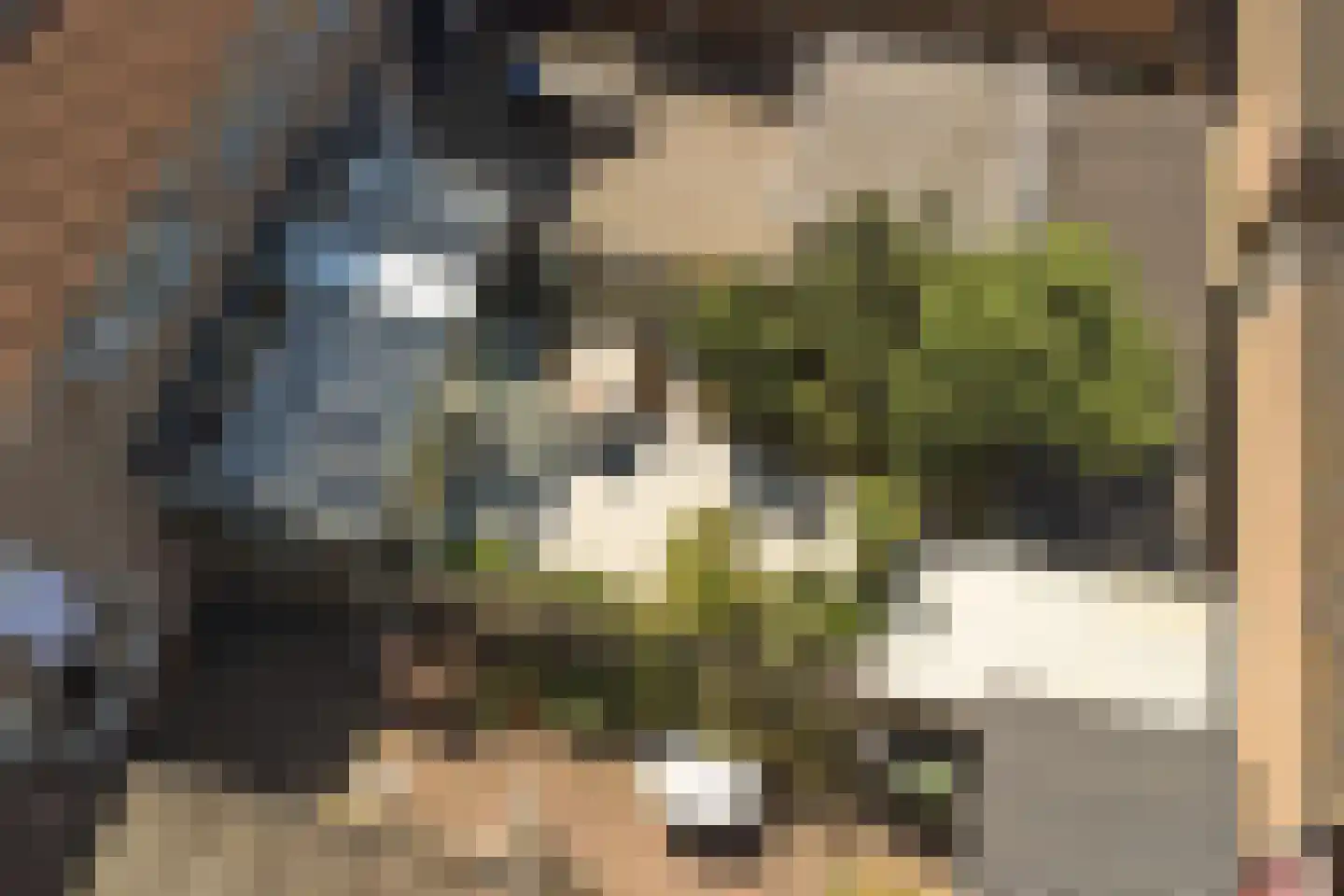Touwslagersdreef 34 Tholen thumbnail 41