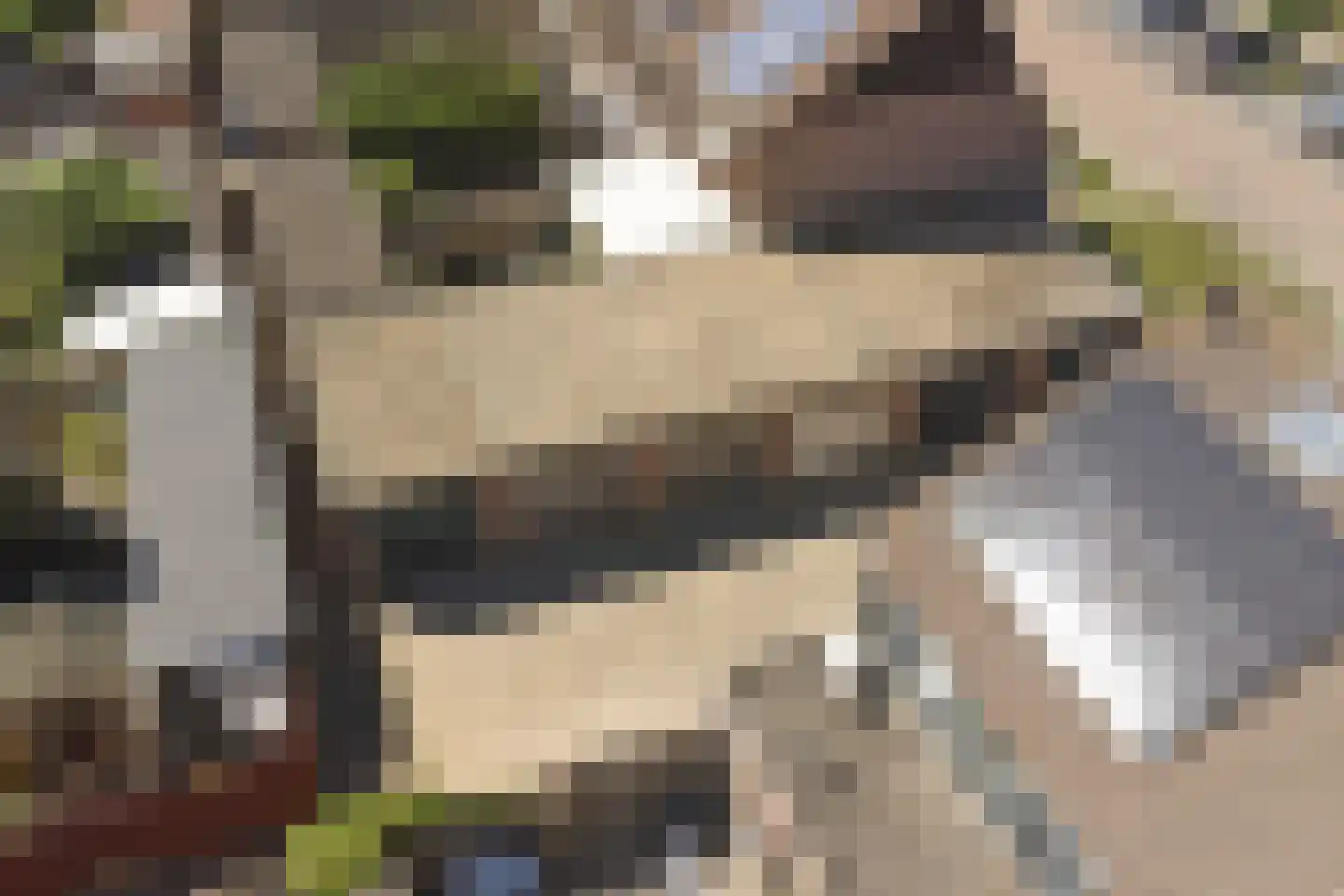Touwslagersdreef 34 Tholen thumbnail 50