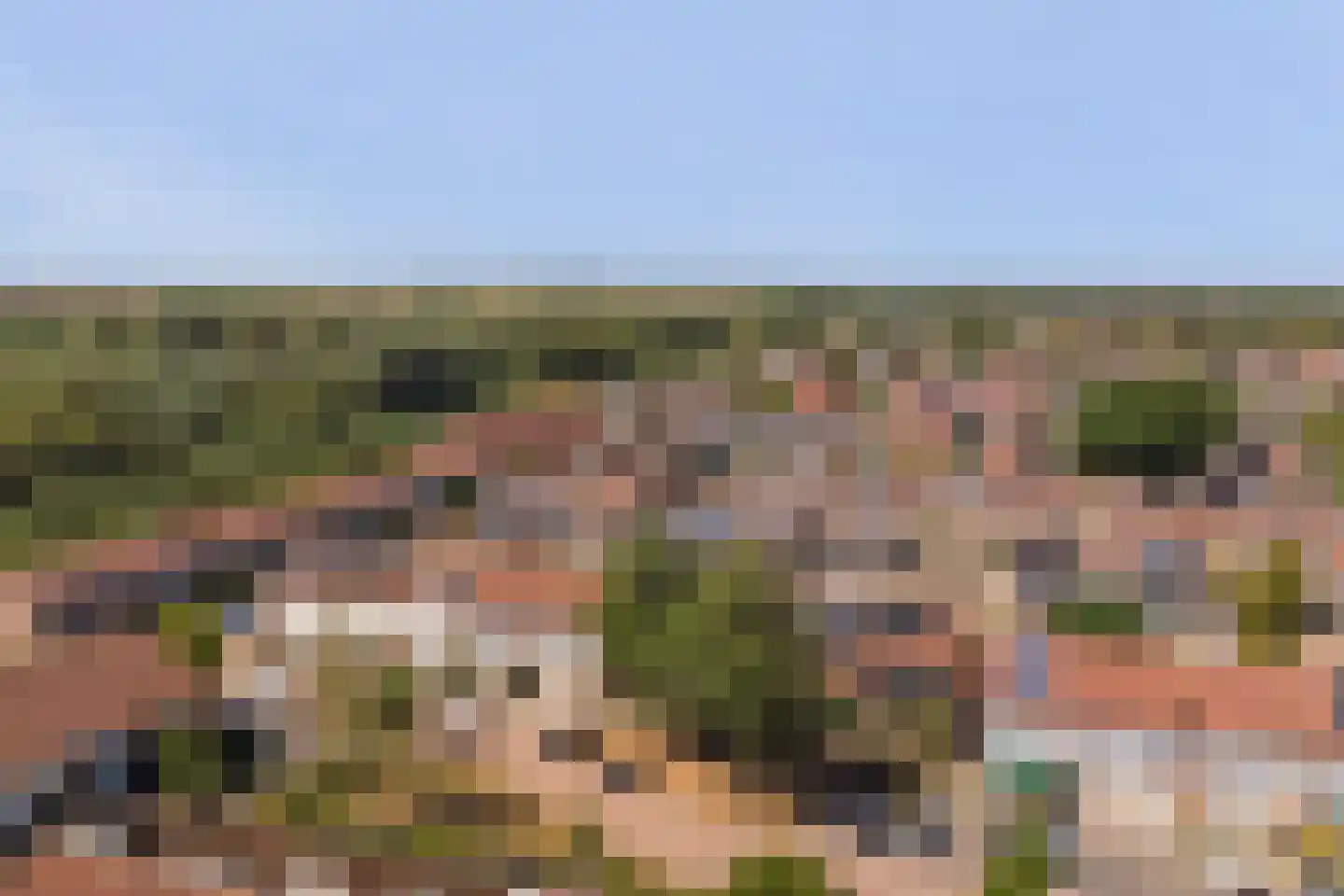 Touwslagersdreef 34 Tholen thumbnail 57