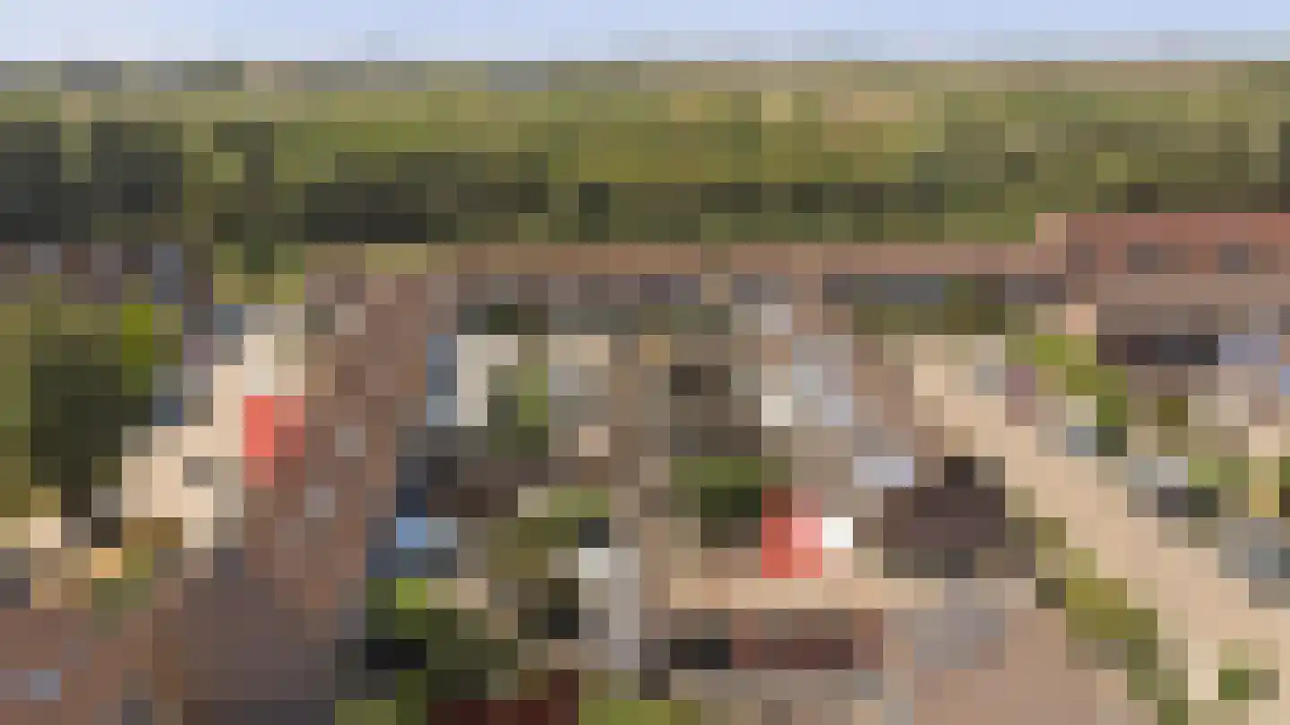 Touwslagersdreef 34 Tholen thumbnail 59