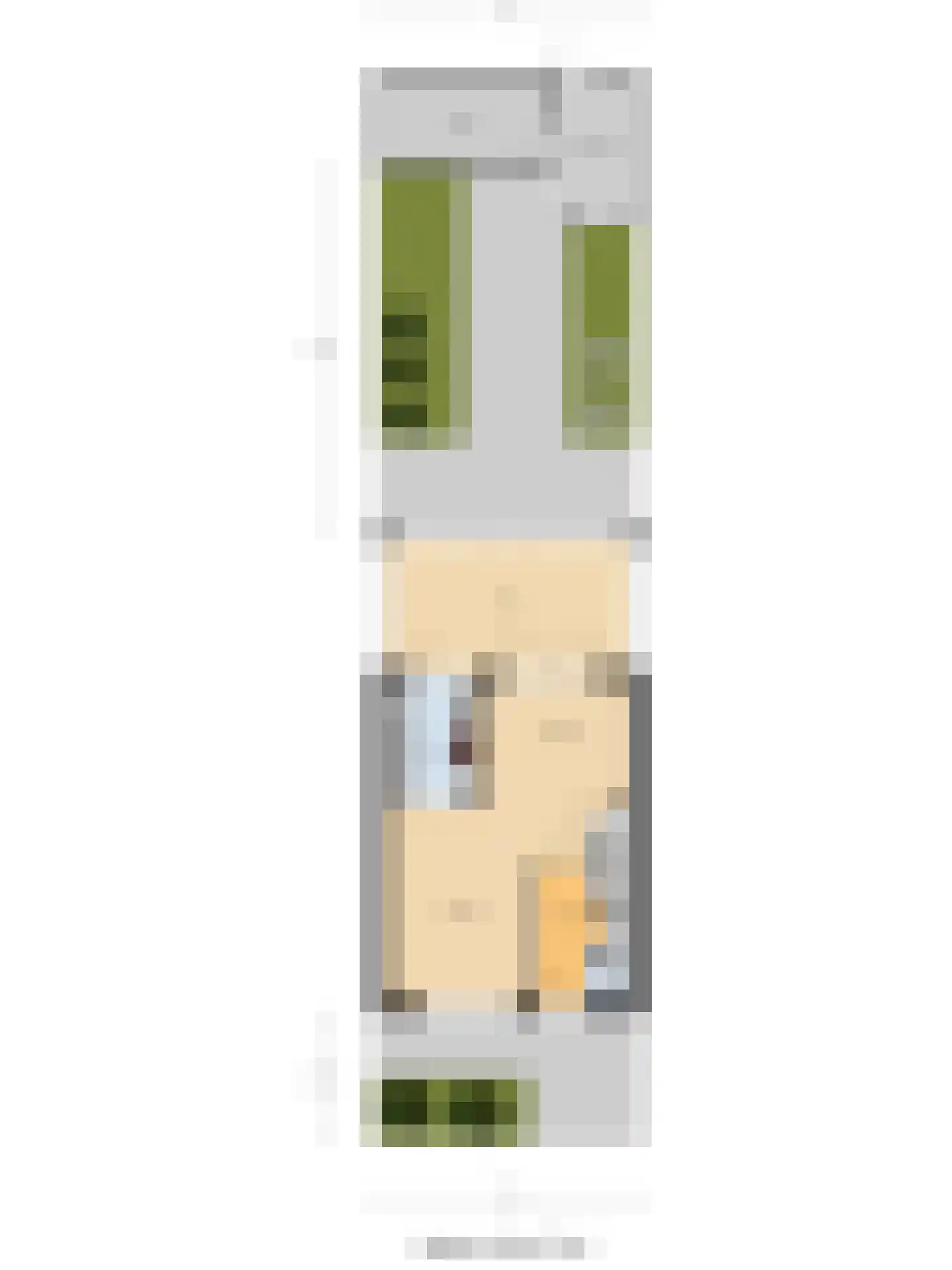 Touwslagersdreef 34 Tholen thumbnail 63