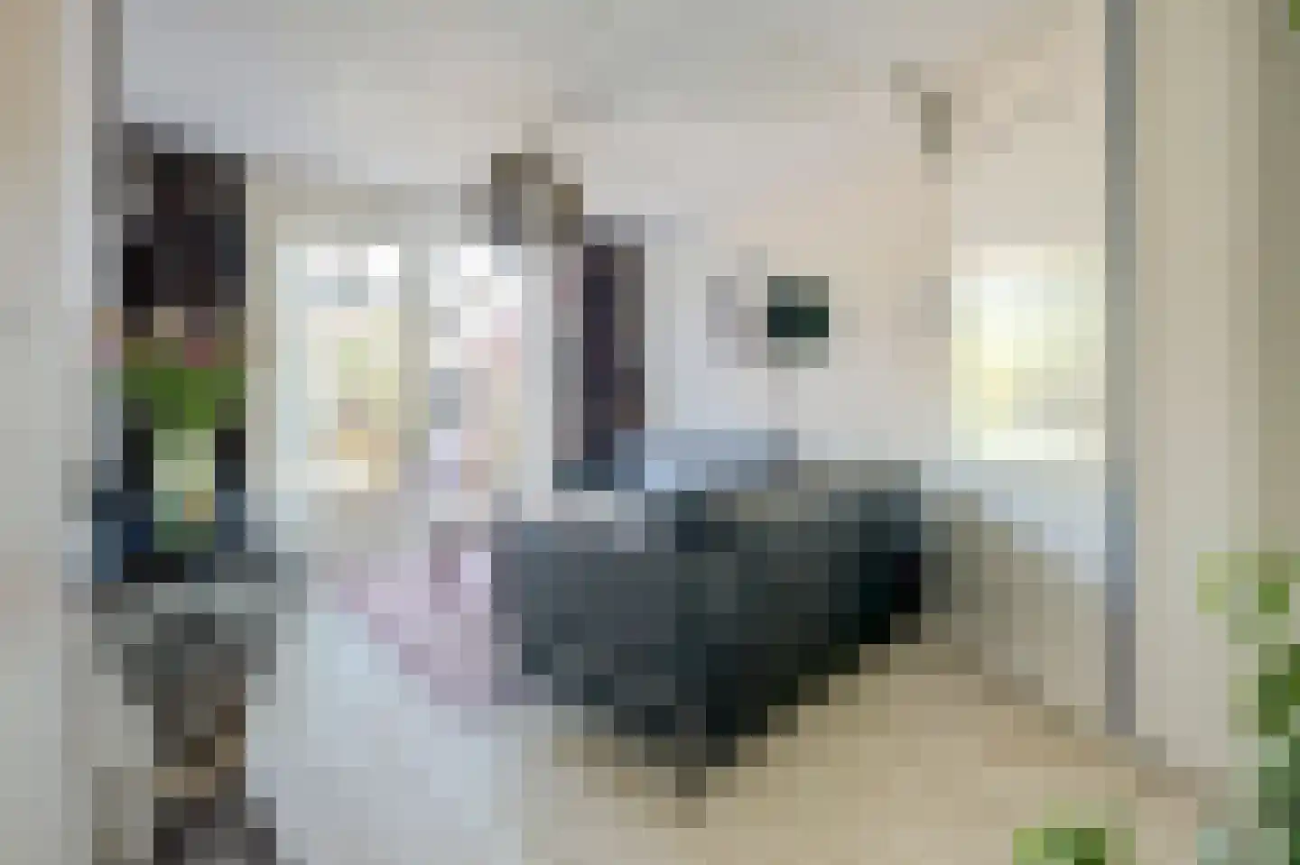 Touwslagersdreef 34 Tholen thumbnail 9