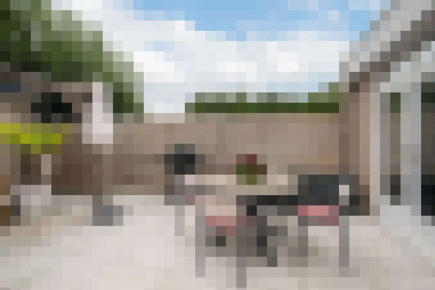 Touwslagersdreef 35 Tholen thumbnail 33