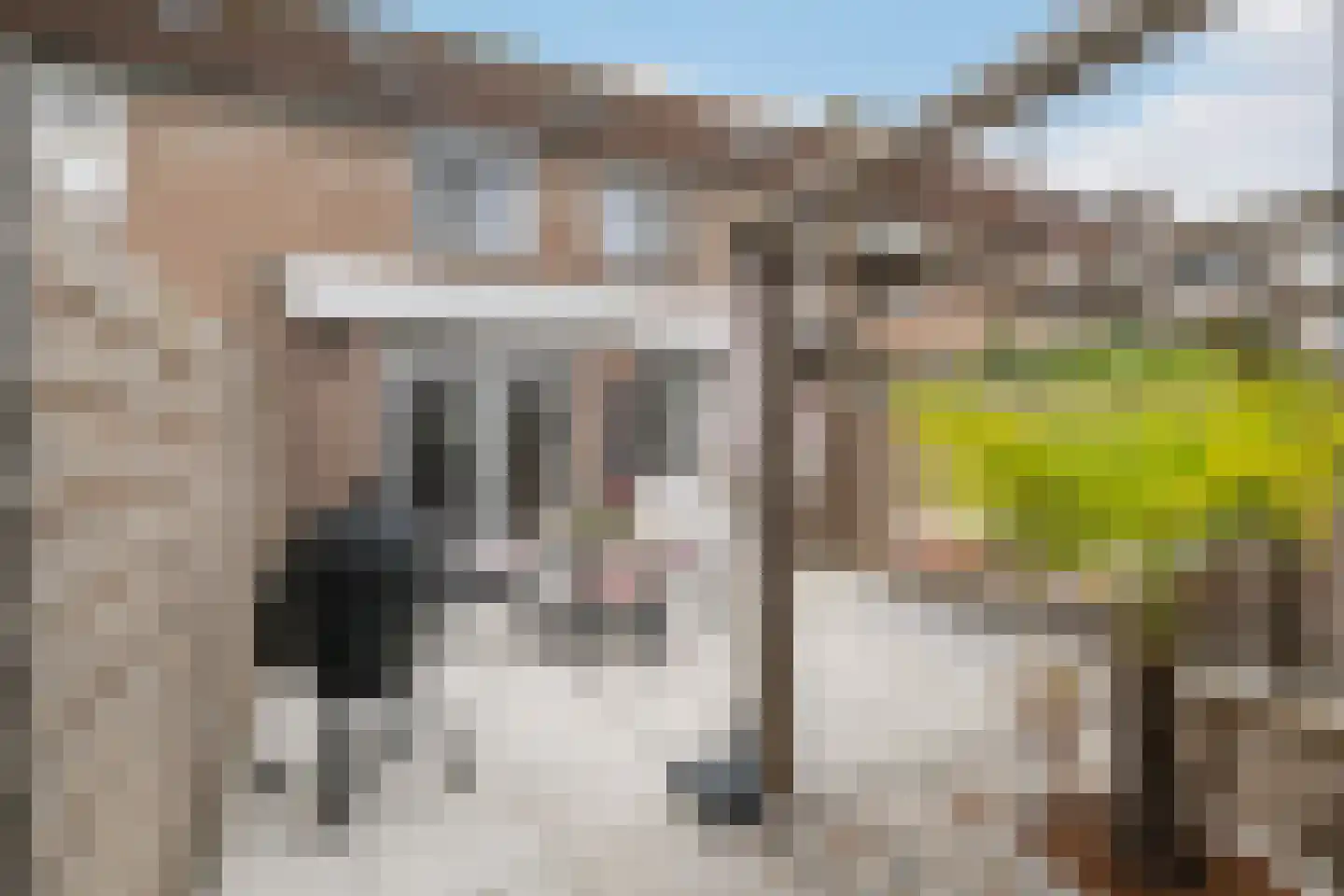 Touwslagersdreef 35 Tholen thumbnail 34