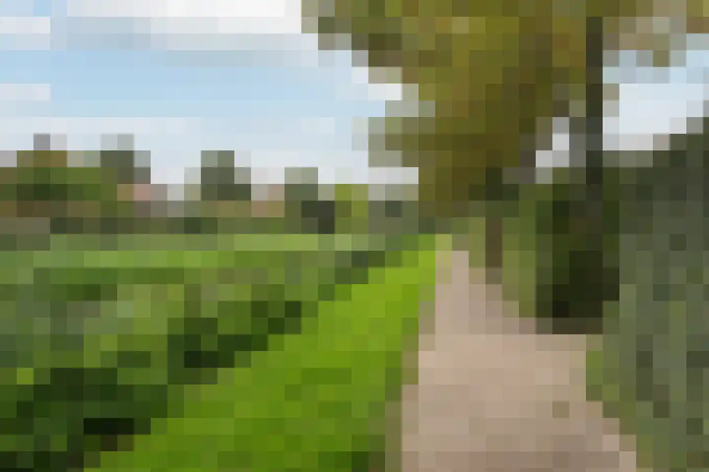 Touwslagersdreef 35 Tholen thumbnail 35