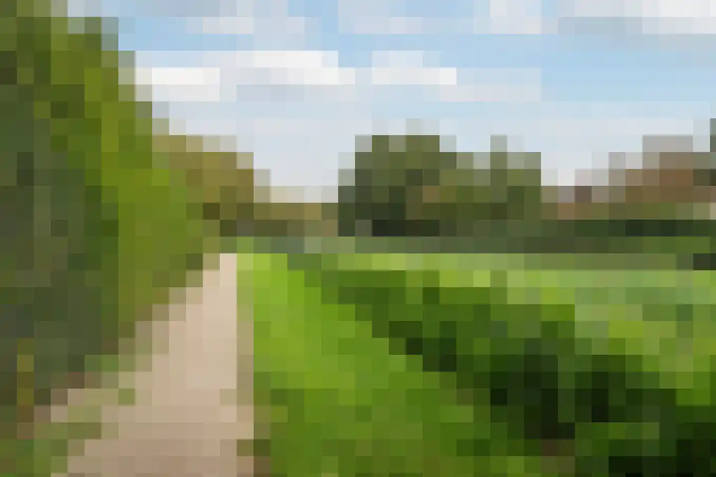 Touwslagersdreef 35 Tholen thumbnail 36