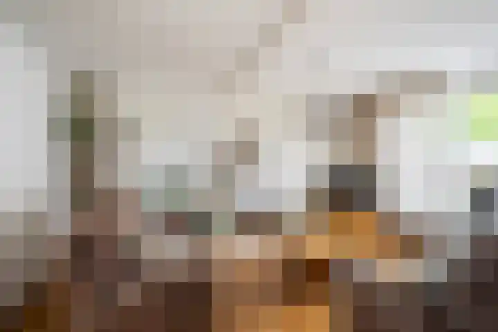 Touwslagersdreef 47 Tholen thumbnail 11