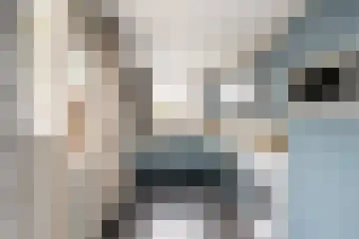 Touwslagersdreef 47 Tholen thumbnail 15