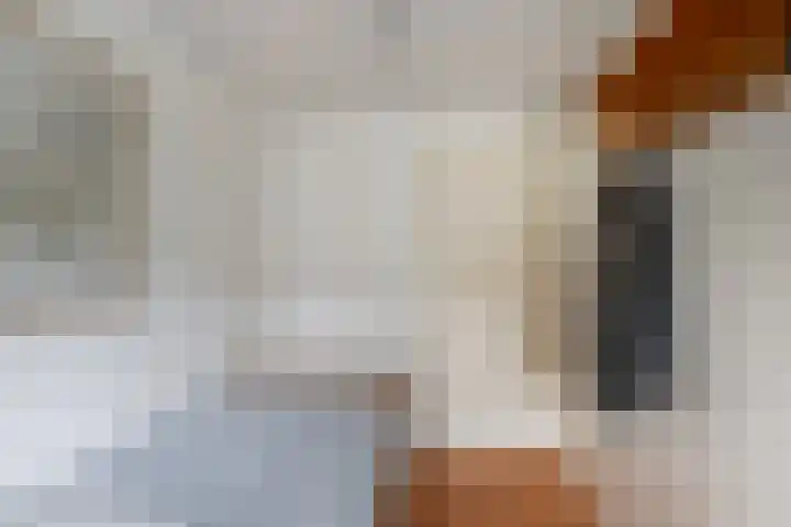 Touwslagersdreef 47 Tholen thumbnail 25