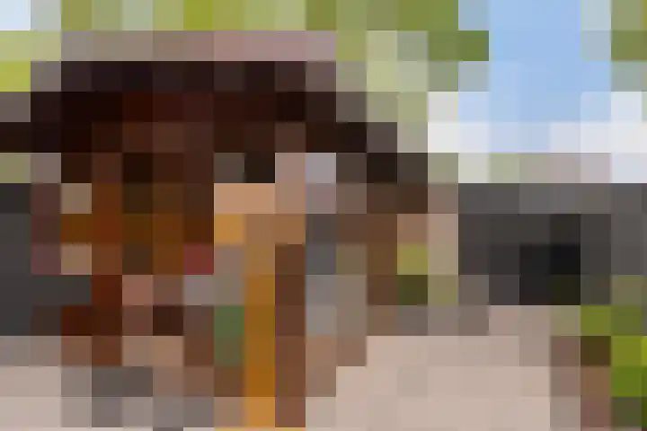 Touwslagersdreef 47 Tholen thumbnail 33