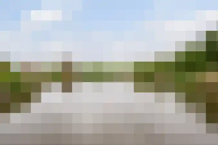 Touwslagersdreef 47 Tholen thumbnail 35
