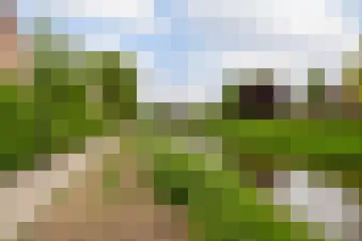 Touwslagersdreef 47 Tholen thumbnail 36