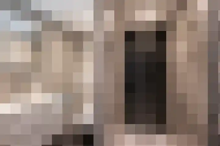Touwslagersdreef 47 Tholen thumbnail 4