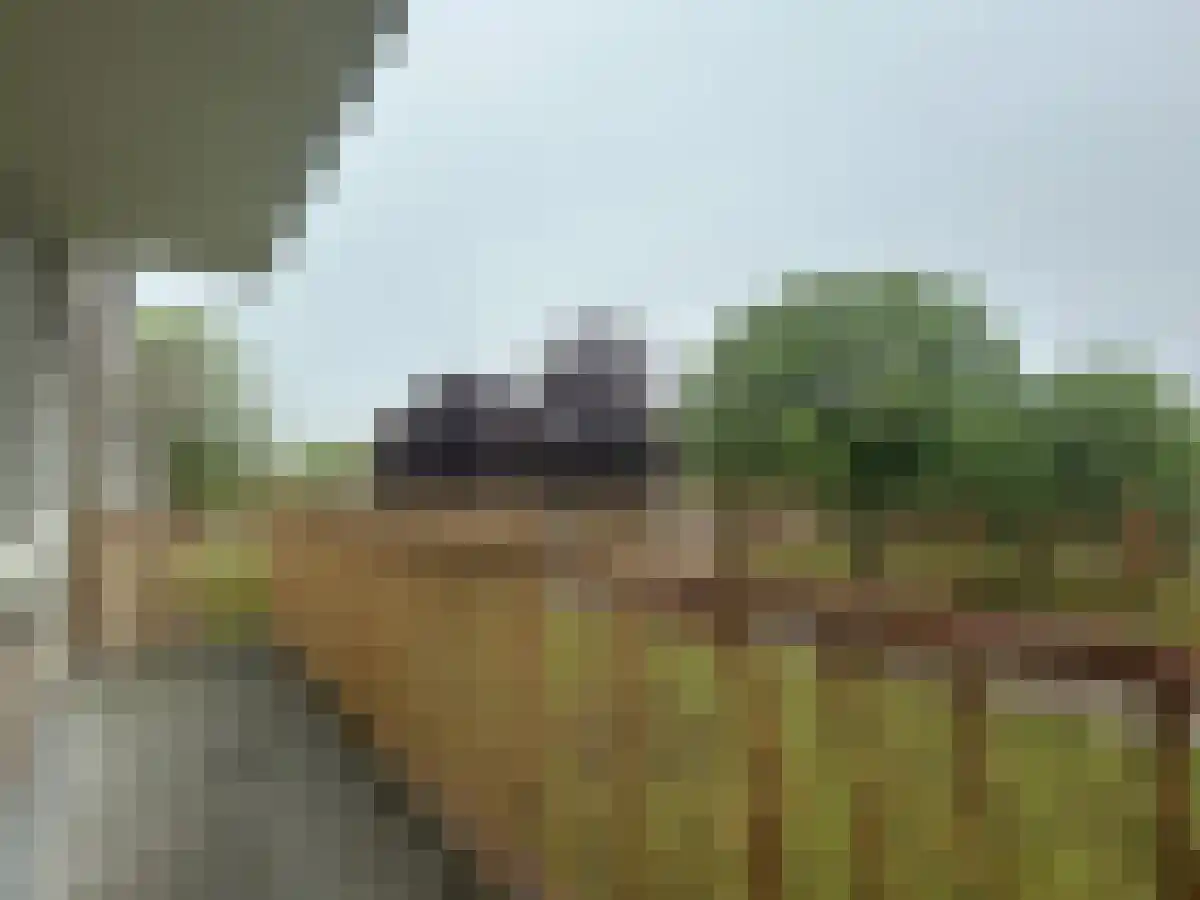 Touwslagersdreef 8 Maastricht thumbnail 5