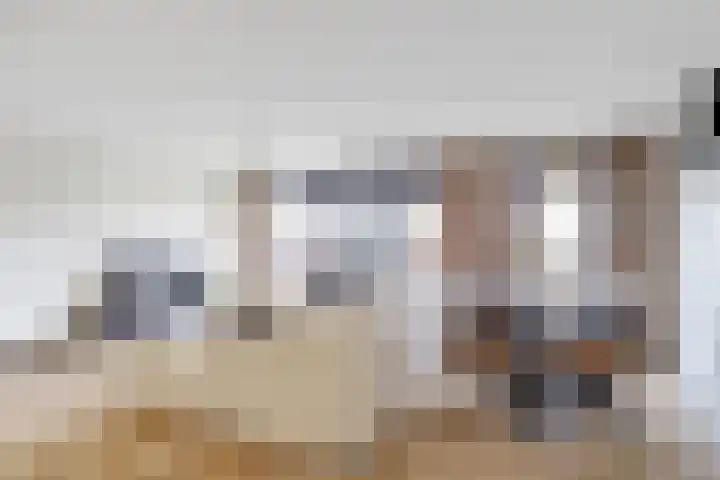 Touwslagersgang 16 Leiden thumbnail 11