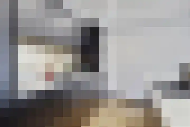 Touwslagersgang 16 Leiden thumbnail 18