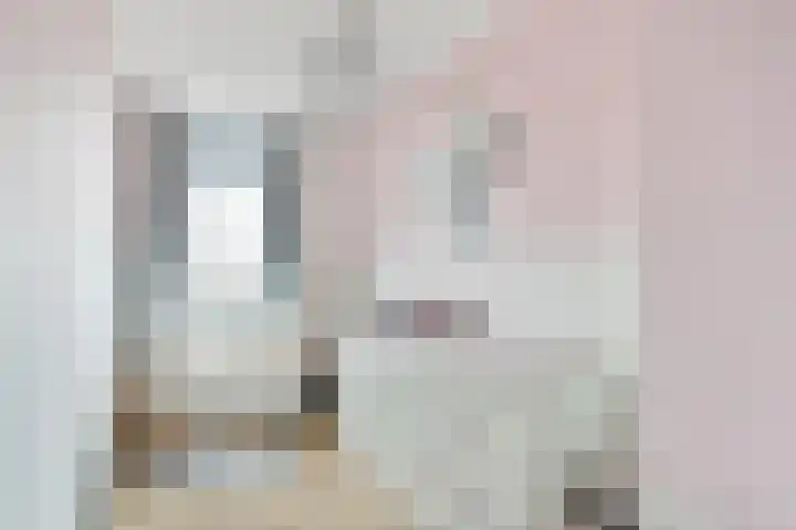 Touwslagersgang 16 Leiden thumbnail 19