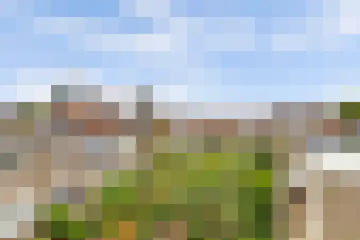 Touwslagersgang 16 Leiden thumbnail 25