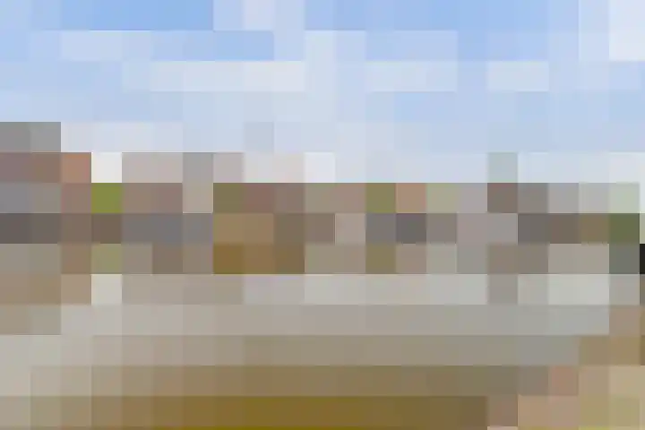 Touwslagersgang 16 Leiden thumbnail 26