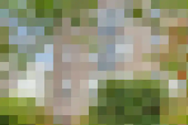 Touwslagersgang 16 Leiden thumbnail 28