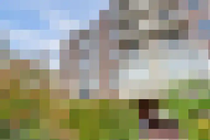 Touwslagersgang 16 Leiden thumbnail 30