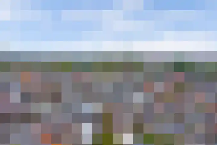 Touwslagersgang 16 Leiden thumbnail 31