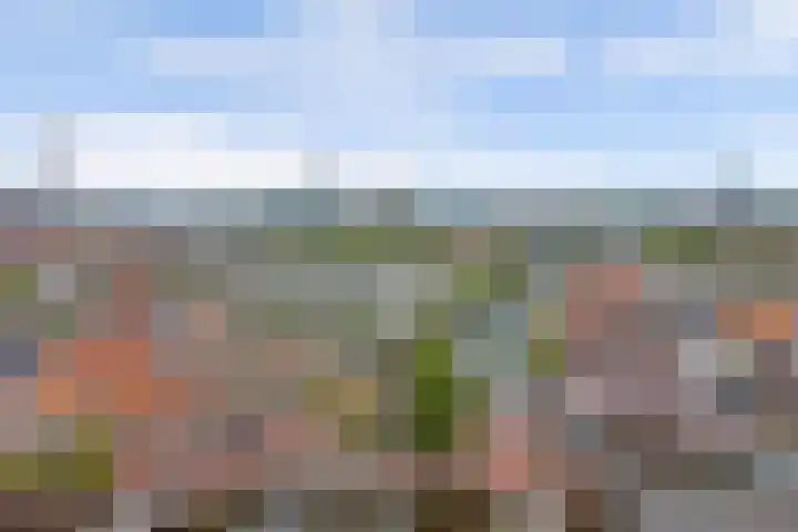 Touwslagersgang 16 Leiden thumbnail 32