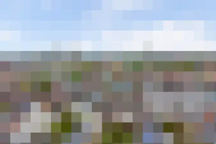 Touwslagersgang 16 Leiden thumbnail 4