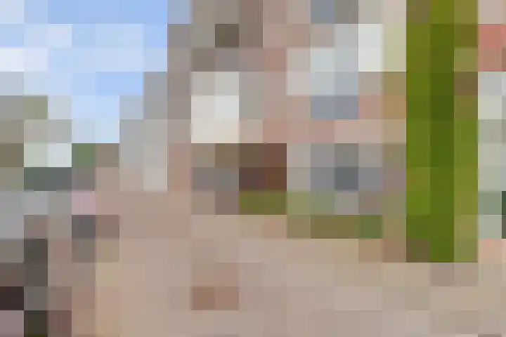 Touwslagersgang 16 Leiden thumbnail 5